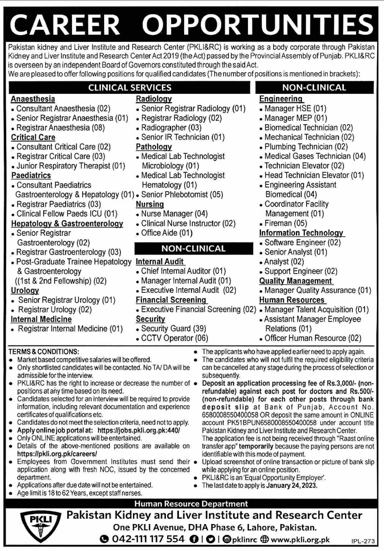 PKLI Jobs January 2023