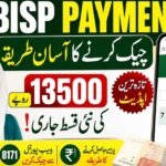 BISP Payment Online Check