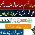 CM Punjab Asan Karobar Scheme