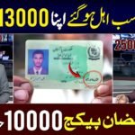 Maryam Nawaz 10000 scheme check online